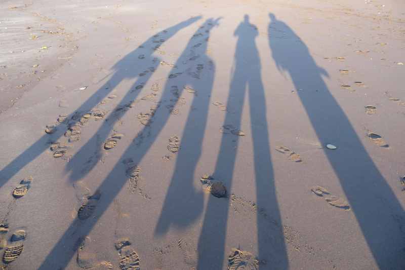 Nieuw-Zeeland 2011 - 1342